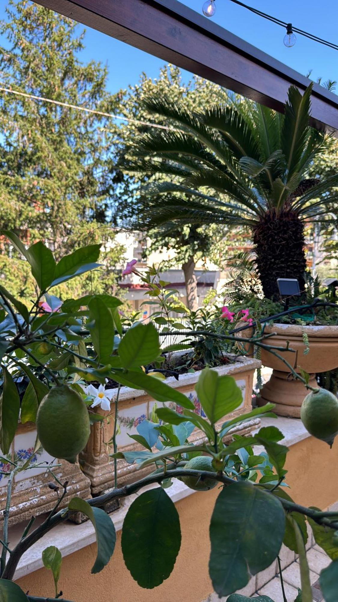 Relais Sorrento Terrace And Relax Bed & Breakfast Exterior photo